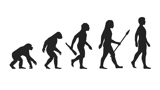 Ape evolving from primate to caveman and modern human in black and white flat design