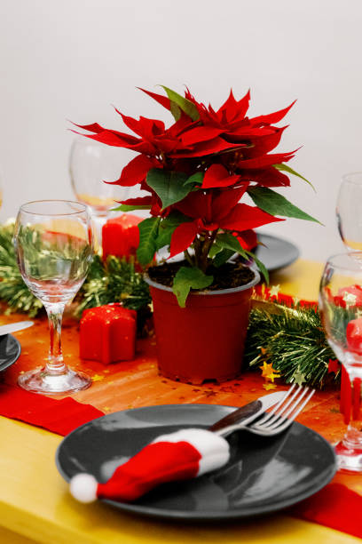 istock Christmas flower on a beautiful festively served table. 1885705467