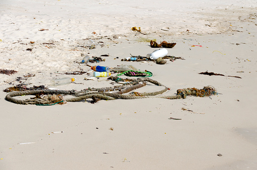 An impactful image showing litter washed up on a beach, a stark reminder of the environmental challenges we face. This scene underscores the urgent need for action on climate change and environmental conservation, highlighting the direct impact of human activity on our planet's natural landscapes.