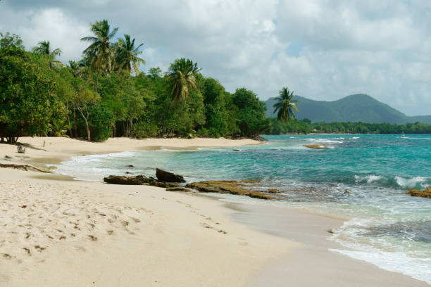 istock Beach of  Martinique 1885737654