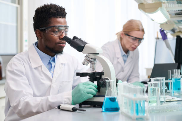 istock Scientific Researchers Working in Laboratory Office 1885758736