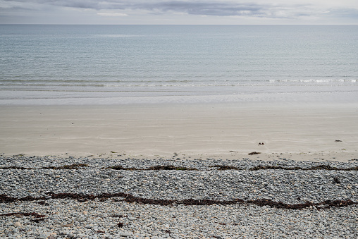 Shoreline of pebbles, seaweed and sand at the beach, Mill Bay, County Down, Northern Ireland