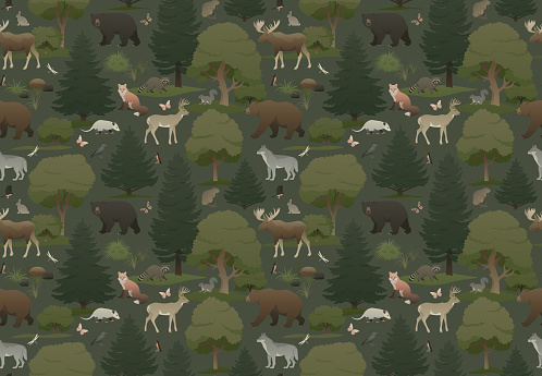 Earthy color palette vector illustration on dark background. Nature and wildlife wallpaper design for home decoration, fabric, poster and print.