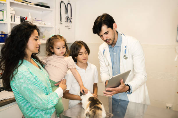 istock At the veterinarian's office 1885866205