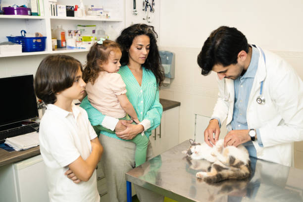 istock At the veterinarian's office 1885866206
