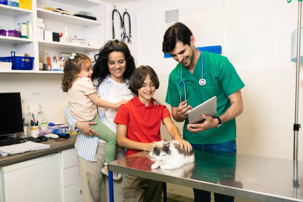 istock Pet for examination at the veterinarian's 1885866226