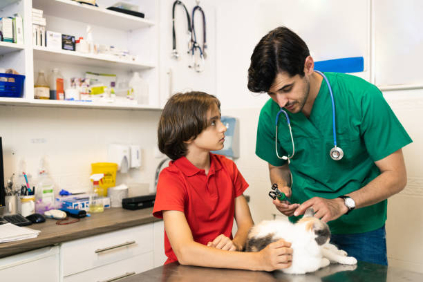 istock At the veterinarian's office 1885866324