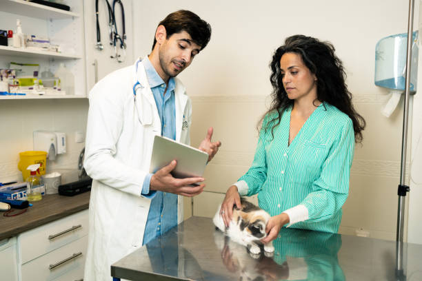 istock At the veterinarian's office 1885867217