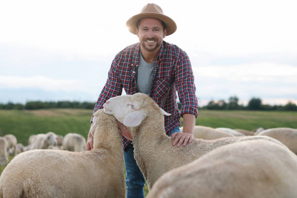 istock Smiling man with sheep on pasture at farm 1885872848