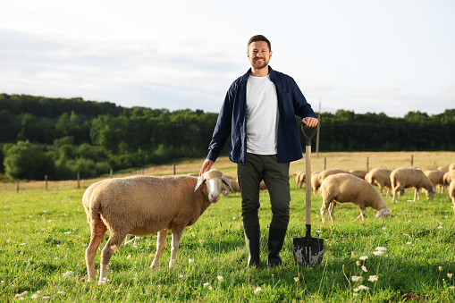 Portrait of smiling man with shovel and sheep on pasture at farm