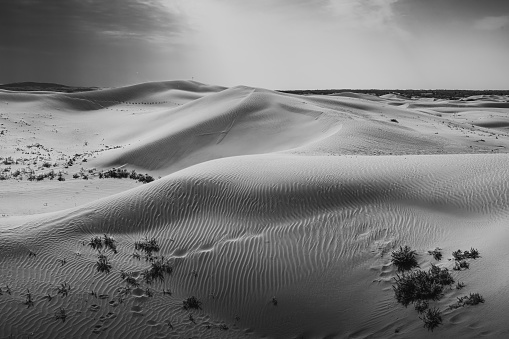 Beautiful untouched sand dunes in Inner Mongolia, China. Wallpaper, background image with copy space for text, black and white