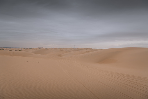 Background of the sand waves of an interesting shape in the desert next to Wuhai, China. Copy space for text