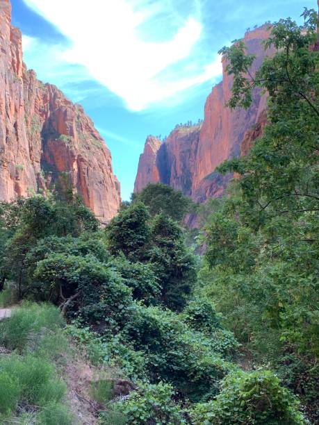 istock Zion National Park 1885909848
