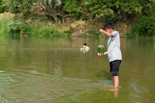Asian boy holds transparent plastic tube to keep freshwater algae which grows and flowing along the river to study the river's cleanliness, idea for ecosystem, ecoeffect and pesticide effect.