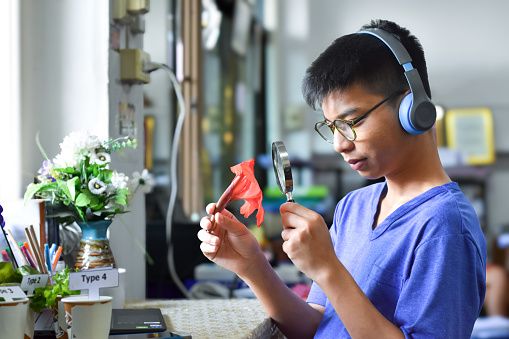 Asian cute boy sitting near window and doing homework at home by learning various leaves and flowers by using magnifying glass and laptop, now he is learning about indian shot leaf and canna flower.
