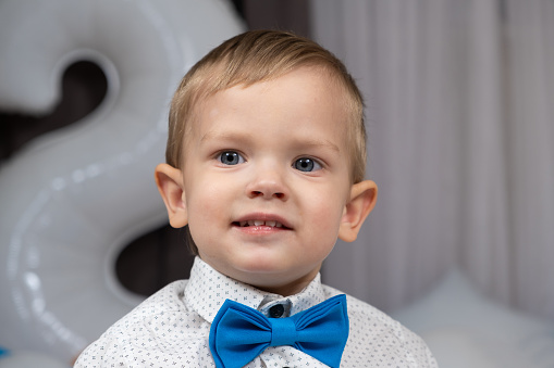 Portrait of an elegant little boy in a shirt with a bow tie.