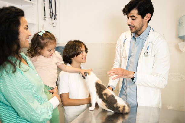 istock At the veterinarian's office 1885980461