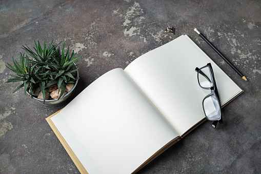 Photo of blank book, glasses, pencil and succulent plant.