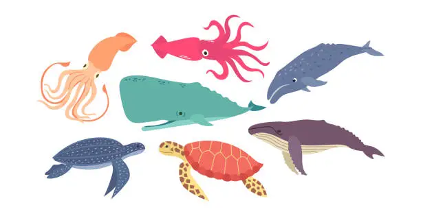 Vector illustration of Set of sea and ocean animals turtles, squids and whales  cartoon vector illustration, icons,