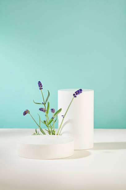 istock Front view of lavender-adorned white podiums on a white table against a blue backdrop. Ideal platforms for product display, capturing the essence of natural beauty. 1886116634