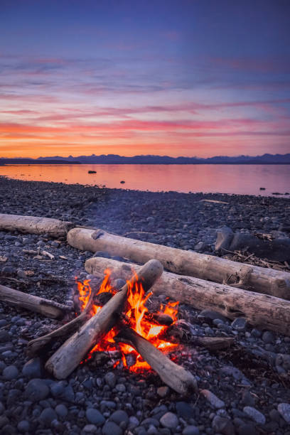 beachfire at sunset in campbell river, vancouver island, bc, canada - frozen cold lake reed fotografías e imágenes de stock