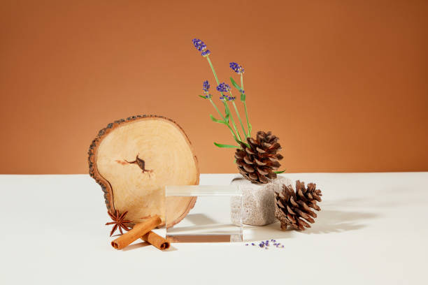 istock Logs, glass platforms, pine cones, cinnamon, anise and lavender flowers are displayed on a white-brown background. Creative space for displaying natural cosmetics. 1886127950