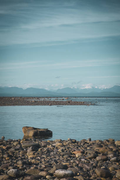 Rock on the Beach in Campbell River, Vancouver Island, BC, Canada