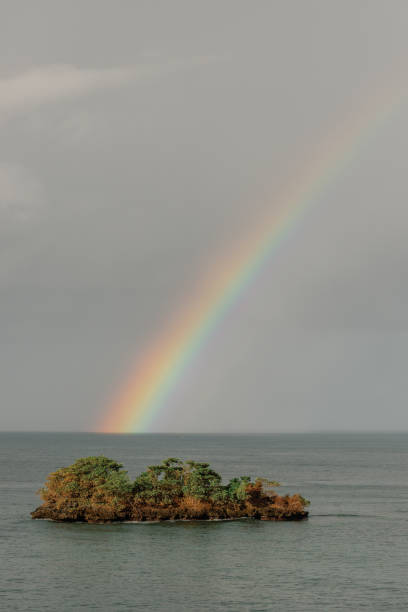 Rainbow crowns serene island paradise. in Samana, Samaná Province, Dominican Republic