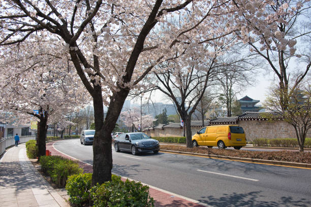 istock Seoul Street in Springtime 1886169761