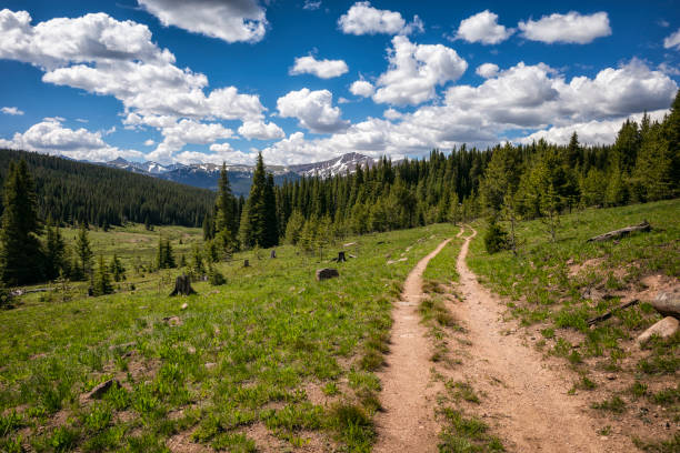 istock Forest trail in the Eagles Nest Wilderness, Colorado 1886172863
