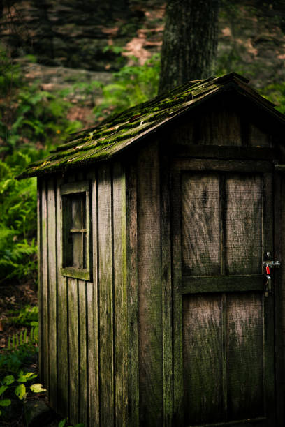 istock Moss grows on the garden shed at the Wisconsin Dells 1886175943