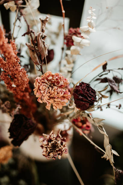istock Dried dust rose floral bouquet 1886182631