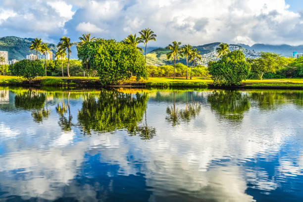 Colorful Green Trees Clouds Ala Wai Canal Reflection Honolulu Ha in United States, Hawaii, Honolulu