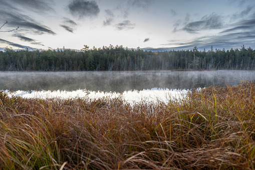 Mist rises off grassy pond in Maine woods in the early morning in Millinocket, Maine, United States