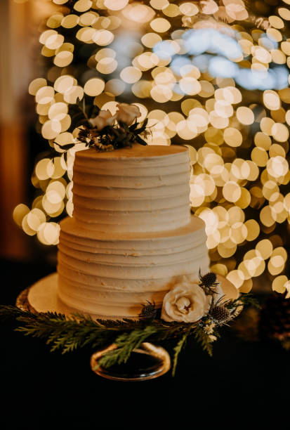 istock wedding cake sits in front of sparkly twinkle lights at wedding 1886192412