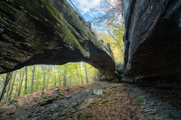 istock Alum Cove Natural Bridge in Arkansas 1886205190