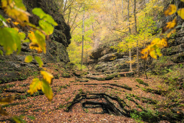 istock Fall foliage along the Buffalo River 1886205715