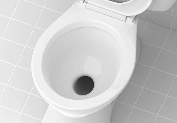 Toilet bowl in the bathroom