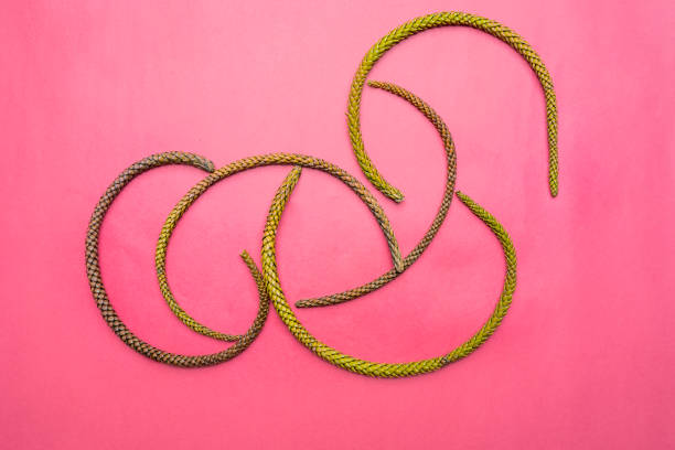 a bunch of string knotted on a white background. 8 eight color suede leater cord In various curved forms. Choose the color you like the best.