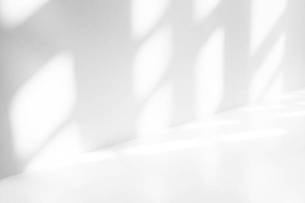 istock Wall interior background, studio and backdrops show products.with shadow from window color white . background for text insertion and presentation product 1886288864