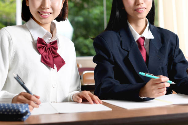 portrait of students in the school desk doing control tests in class