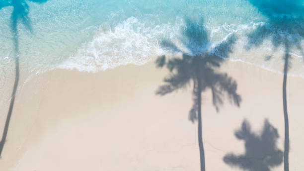 istock Summer palm tree  and Tropical beach with blue  sky background 1886322462