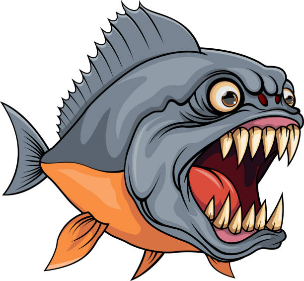 Angry Piranha cartoon vector illustration of Angry Piranha cartoon orange piranha stock illustrations