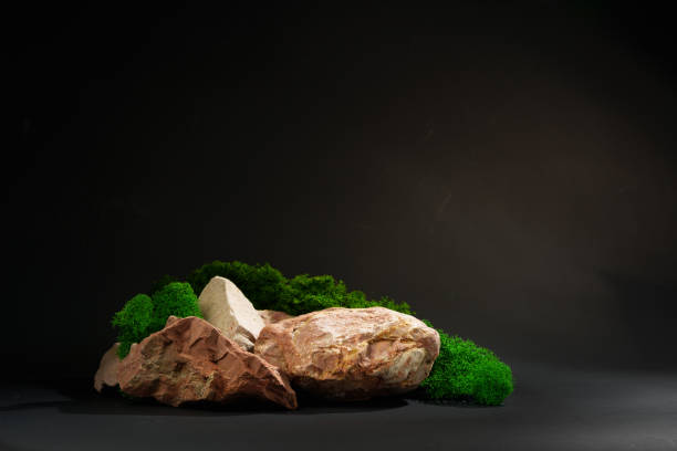istock Stones decorated with green moss against black background 1886473635