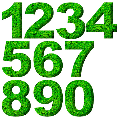 Close-up of three-dimensional green leaf numbers from 0 to 9 on white background.