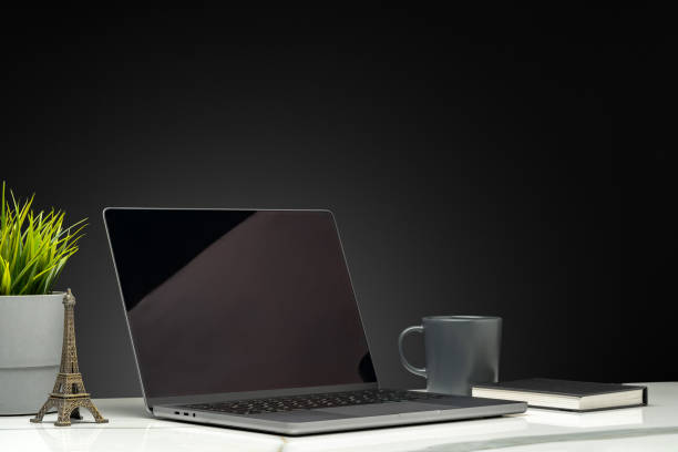 istock Laptop with green leafy potted plant on black background 1886484967