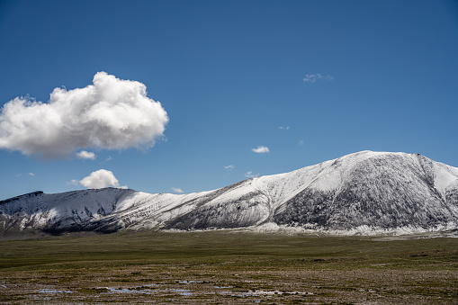 Snow capped mountains and grasslands in a clear sky
