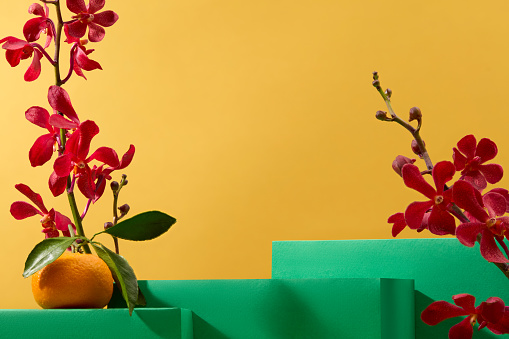Fresh orchids and tangerines decorate the green platforms with a yellow background. Ideal space for product display. Festival theme for advertising.