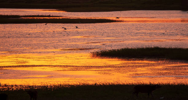 istock Beautiful sunset on the Nile river, Egypt 1886667756
