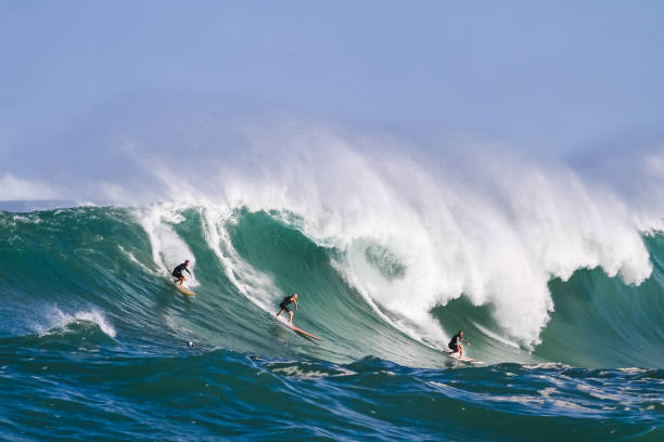 surfowanie na dużych falach w waimea na hawajach - big wave surfing zdjęcia i obrazy z banku zdjęć